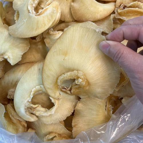 庞氏食品 源头直供，只卖足干纯翅针的漂亮鲍翅